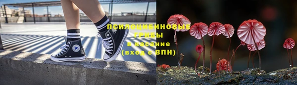 трава Гусь-Хрустальный