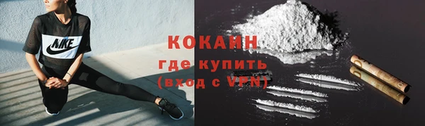 трава Гусь-Хрустальный