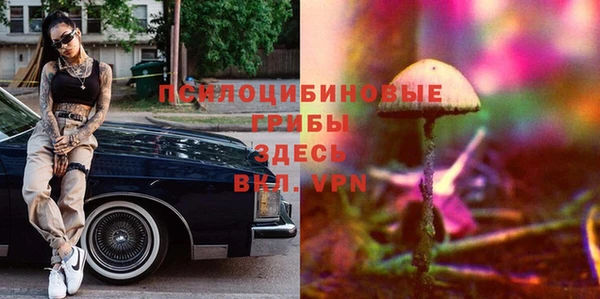 трава Гусь-Хрустальный