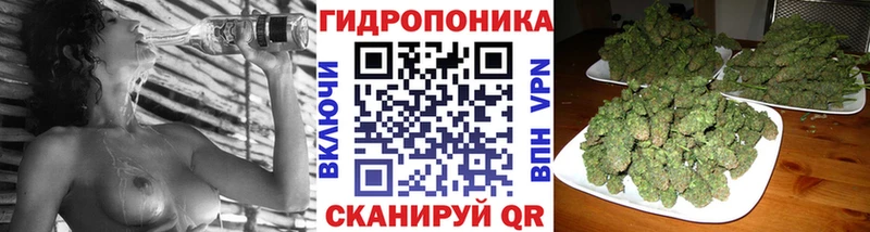 Марихуана гибрид  как найти   Мытищи 